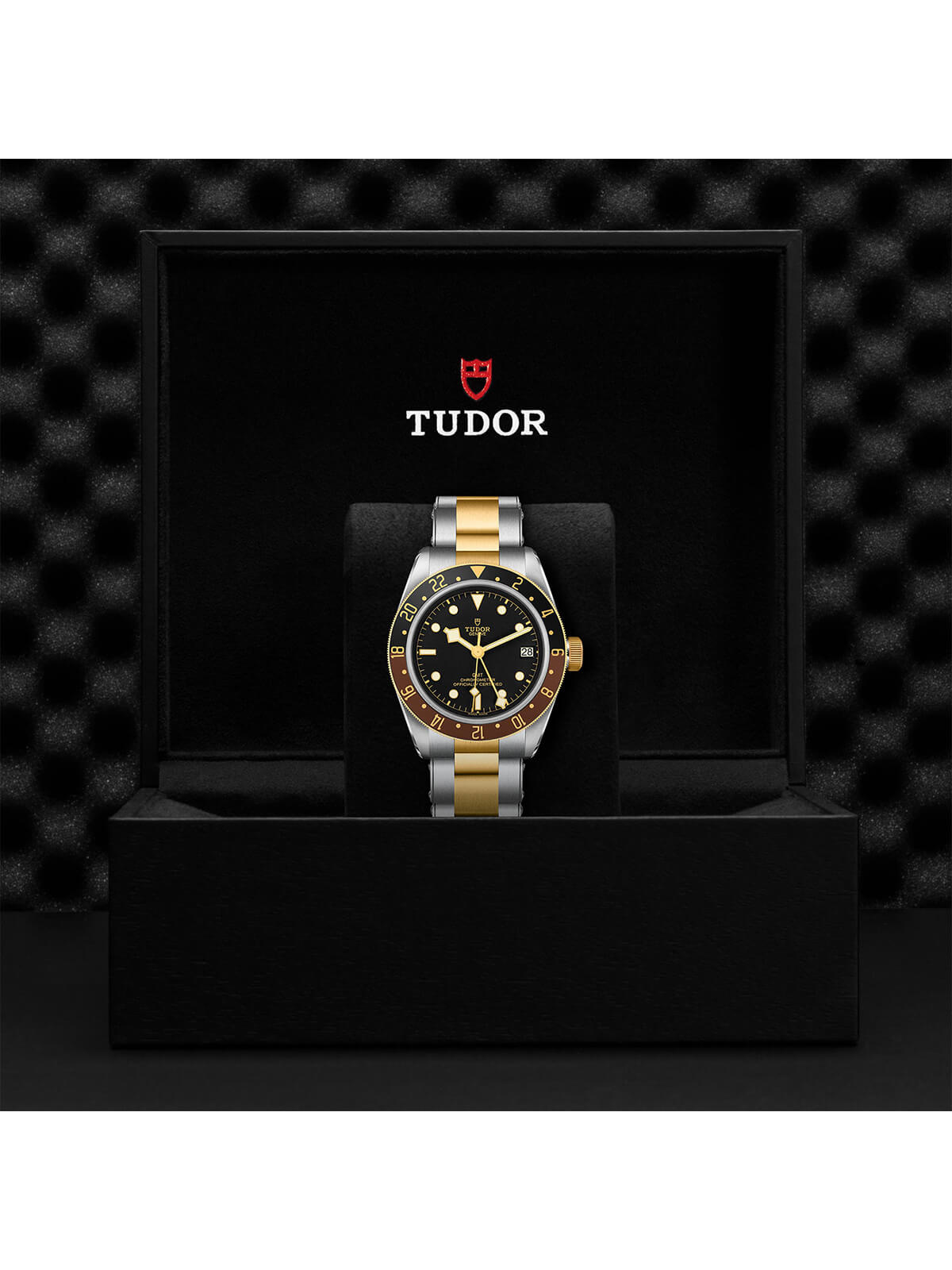 TUDOR Black Bay GMT S&G Watch 41mm M79833MN-0001